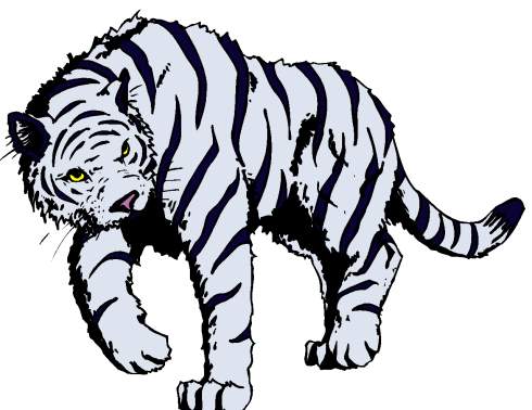 tiger - tigre