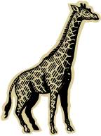 giraffa - giraffe